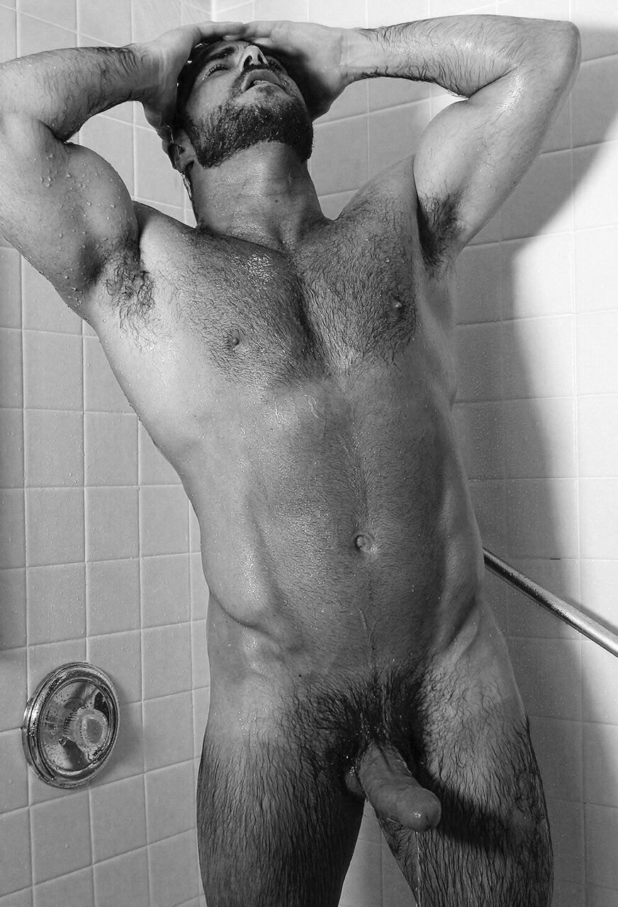 Возбужденные мужские члены