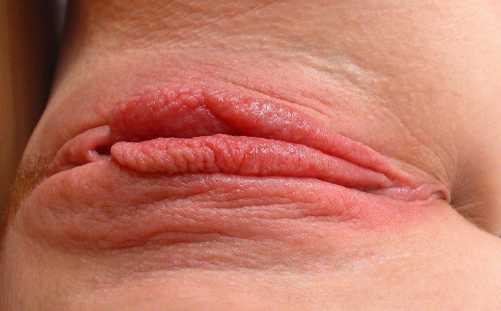 Половые губы крупным планом