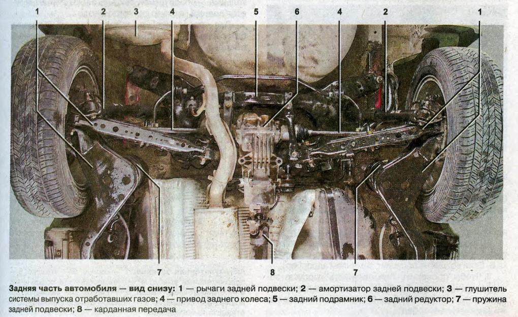 Пальмы в Сан Паулу