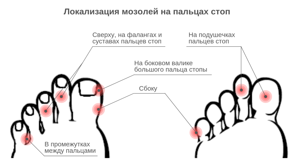 Очко изнутри